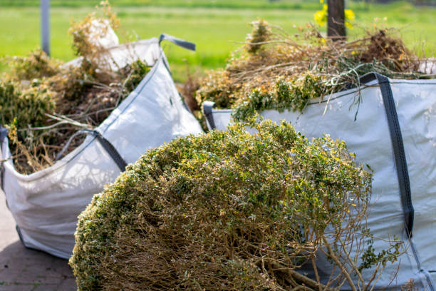 Best Trash Removal Near Me  in Fairport, NY